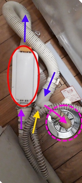 20180618_080941.jpg