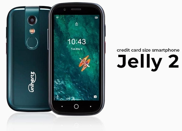 20200618-jelly2-1.jpg