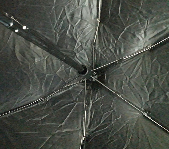 IMAG0576.jpg
