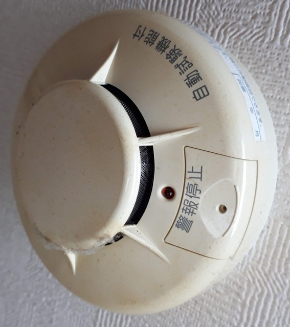 IMAG0627.jpg