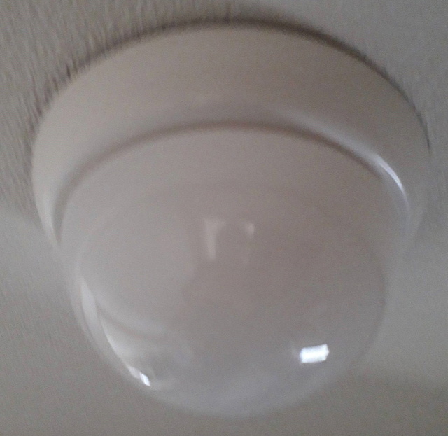 IMG_20200320_080749.jpg