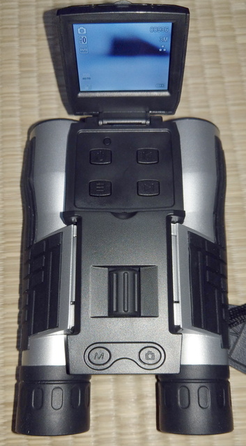 IMG_20200630_091105.jpg