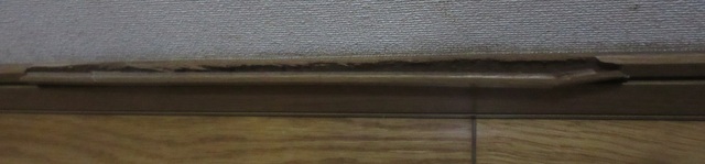 IMG_4743.JPG