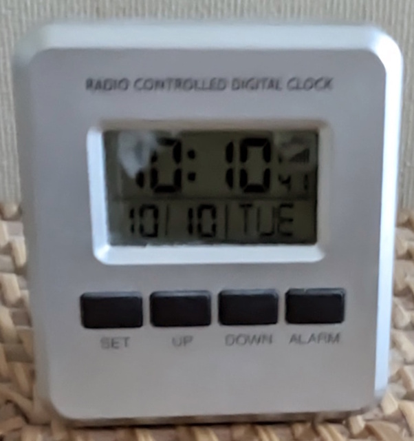PXL_20231010_101042699.jpg