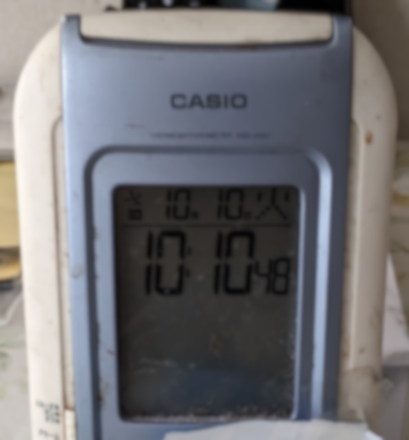 PXL_20231010_101049556.MV.jpg