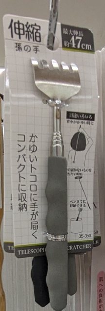 PXL_20231031_152255506.MV.jpg
