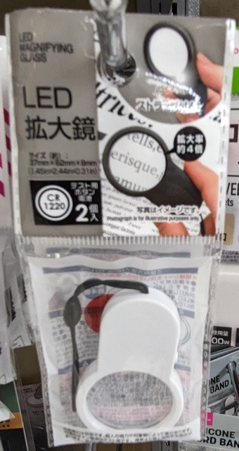 PXL_20231108_170009176.MV.jpg